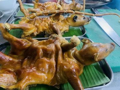 7 Địa chỉ bán cầy hương tươi sống, chất lượng tại Hà Nội