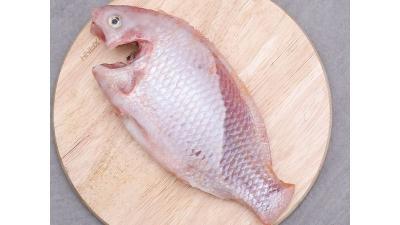 Bảng báo Giá cá diêu hồng đơn giá và giá sỉ cập nhật 15/09/2024