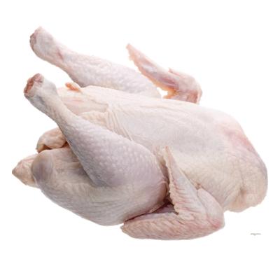 Cung cấp thịt gà giá rẻ