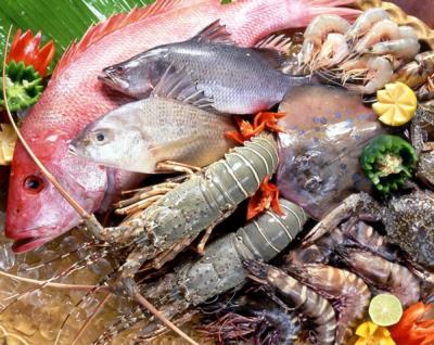 Kinh nghiệm kinh doanh hải sản đông lạnh cho các quán ăn, quán nhậu