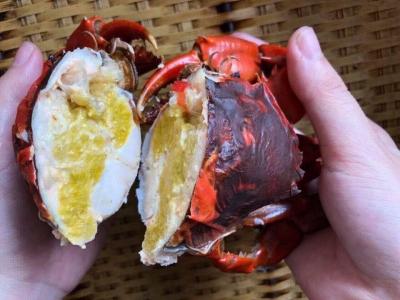 Mua bán cua Cà Mau tại huyện Quốc Oai