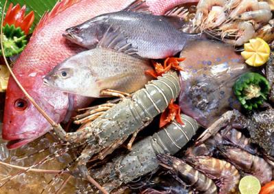 Nguồn cung cấp thực phẩm cho trường học