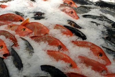 Thịt gà đông lạnh có thể bảo quản được bao lâu