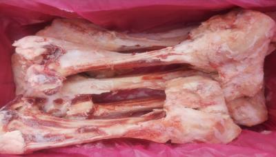 Vifoods, nơi bán xương ống bò sau size khủng