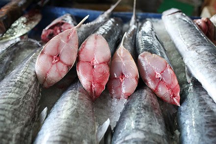 Phân biệt cá biển tươi đông lạnh trong kho lạnh và cá chết trước khi đông lạnh
