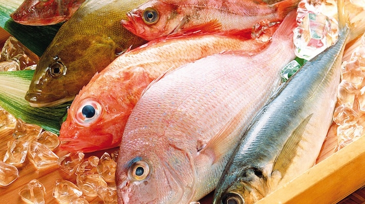 3 cách phân biệt cá tươi và cá ươn dễ dàng