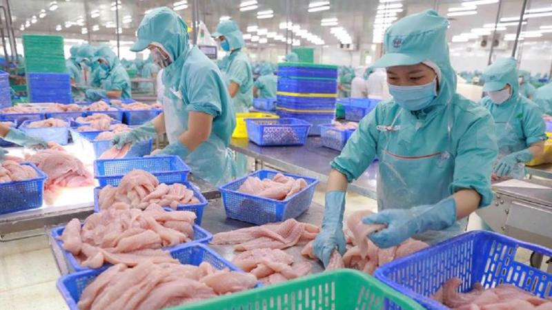 Một công ty Việt Nam xuất khẩu thực phẩm sang Singapore bị phạt 36.000 SGD  - Nhịp sống kinh tế Việt Nam & Thế giới