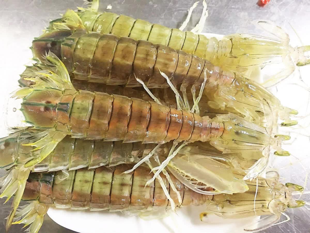 Bề bề chúa khổng lồ ngon hơn cả tôm hùm, giá gần 2 triệu/kg vẫn được yêu  thích